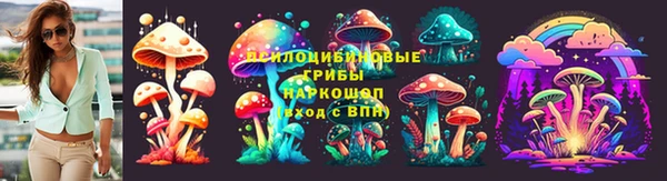 дурь Арсеньев