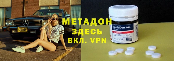 прущие грибы Армянск