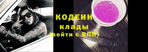 прущие грибы Армянск