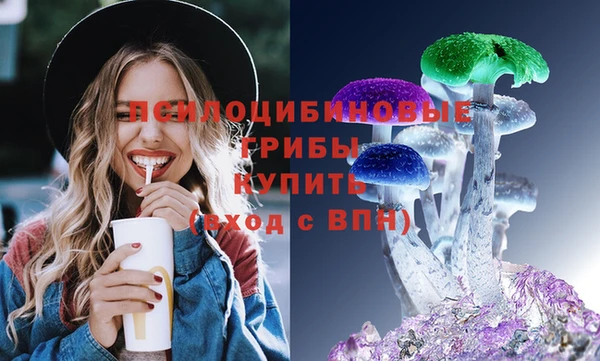 прущие грибы Армянск