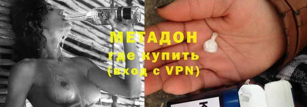 прущие грибы Армянск
