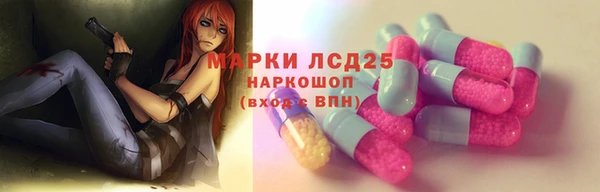 прущие грибы Армянск