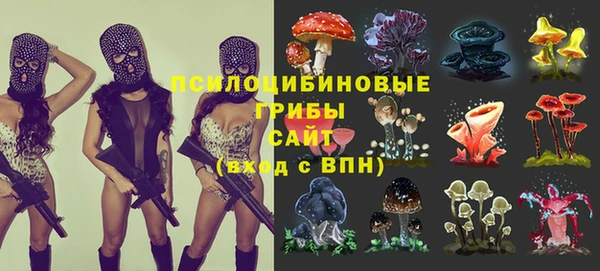 прущие грибы Армянск
