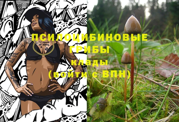 синтетический гашиш Снежногорск